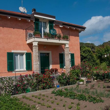 Guest House Arancia145 Ceriale Exterior foto